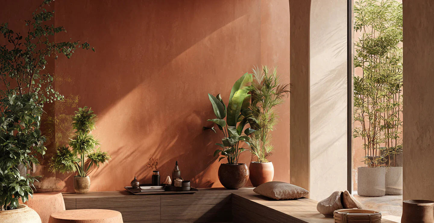 Casa neopalms